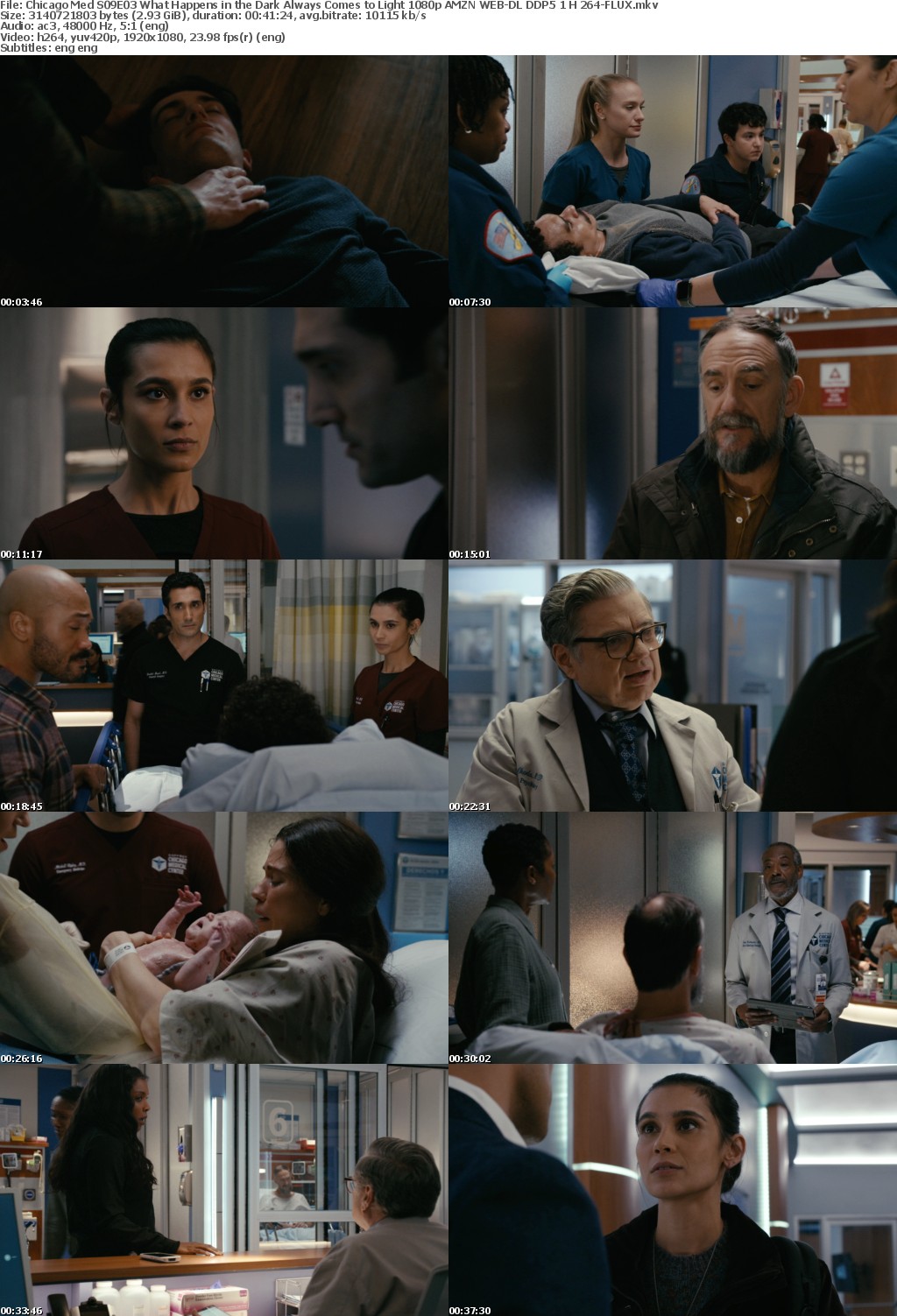 Chicago Med S09E03 What Happens in the Dark Always Comes to Light 1080p AMZN WEB-DL DDP5 1 H 264-FLUX